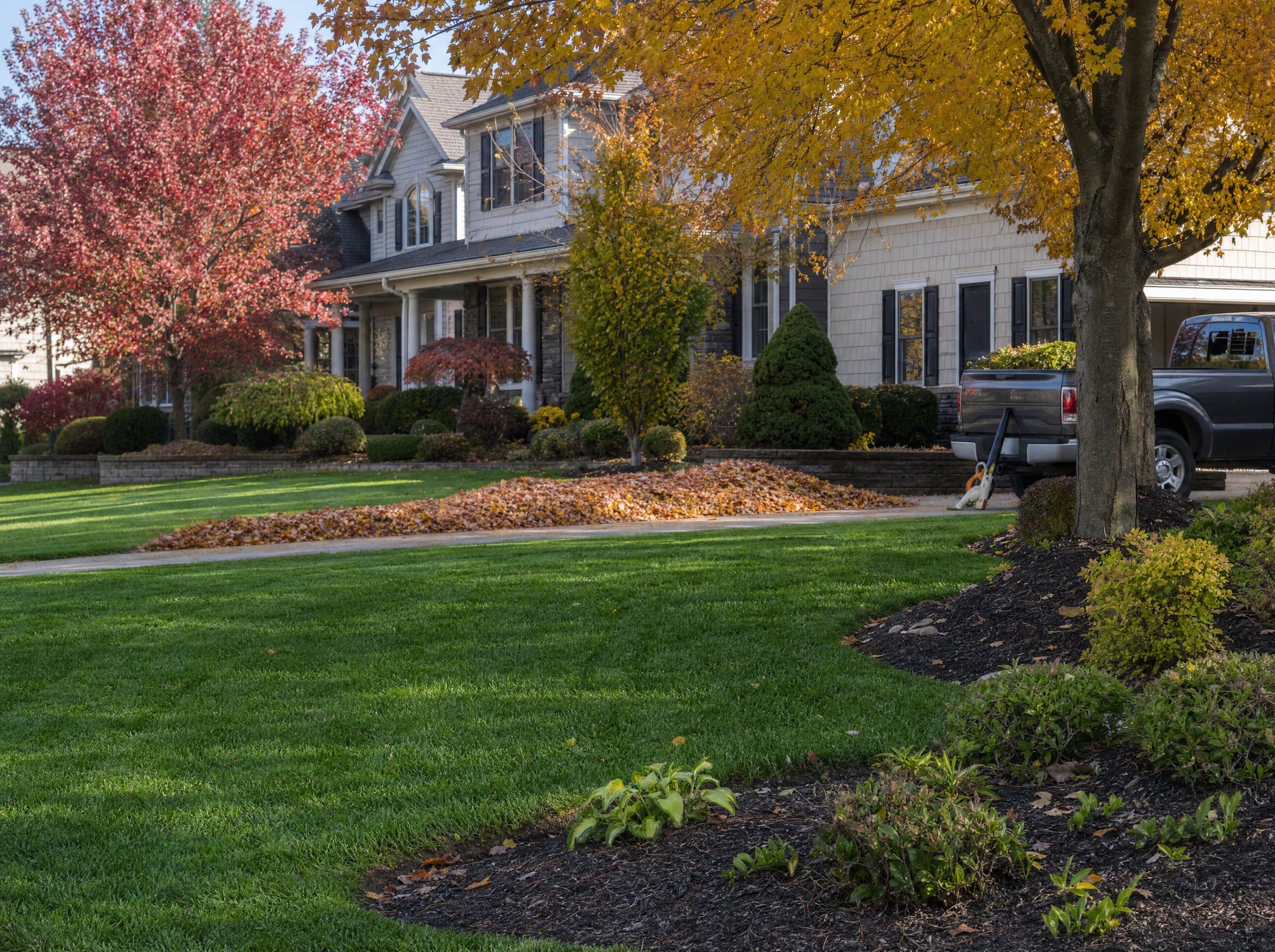 Fall cleanup — Strongsville — leaves cleared, yard reset